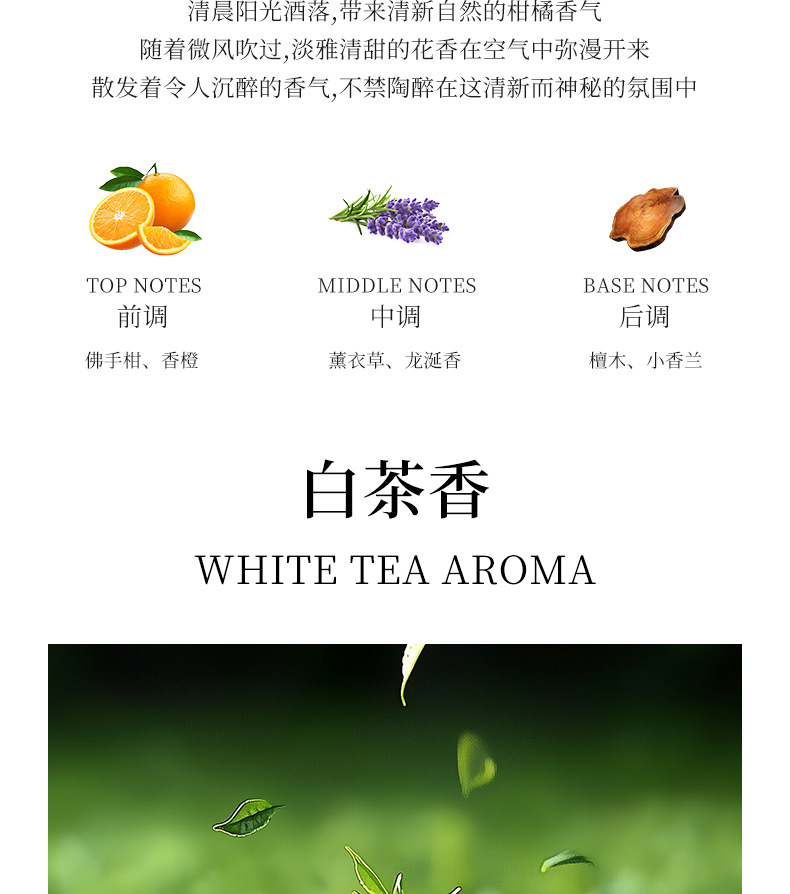 New cross-border car solar helicopter ornaments, car aromatherapy perfumes, tech-savvy car interior fragrances pic 16