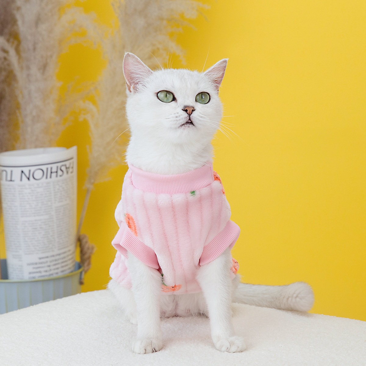 Pet clothing, cat clothes, cat cotton vests, little blue cat clothing for autumn and winter, new 2023 strawberry fleece jackets pic 6