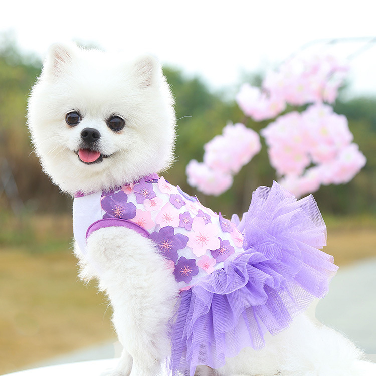 Pet dog, cat, Teddy, bichon Frise, peach blossom skirt, clothes, dog clothing, pet supplies manufacturer wholesale fashionable, comfortable and cute pet skirts pic 11