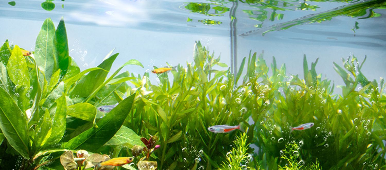 鱼缸灯LED灯节能照明水族箱防溅水草缸灯高亮小型造景支架小夹灯详情2