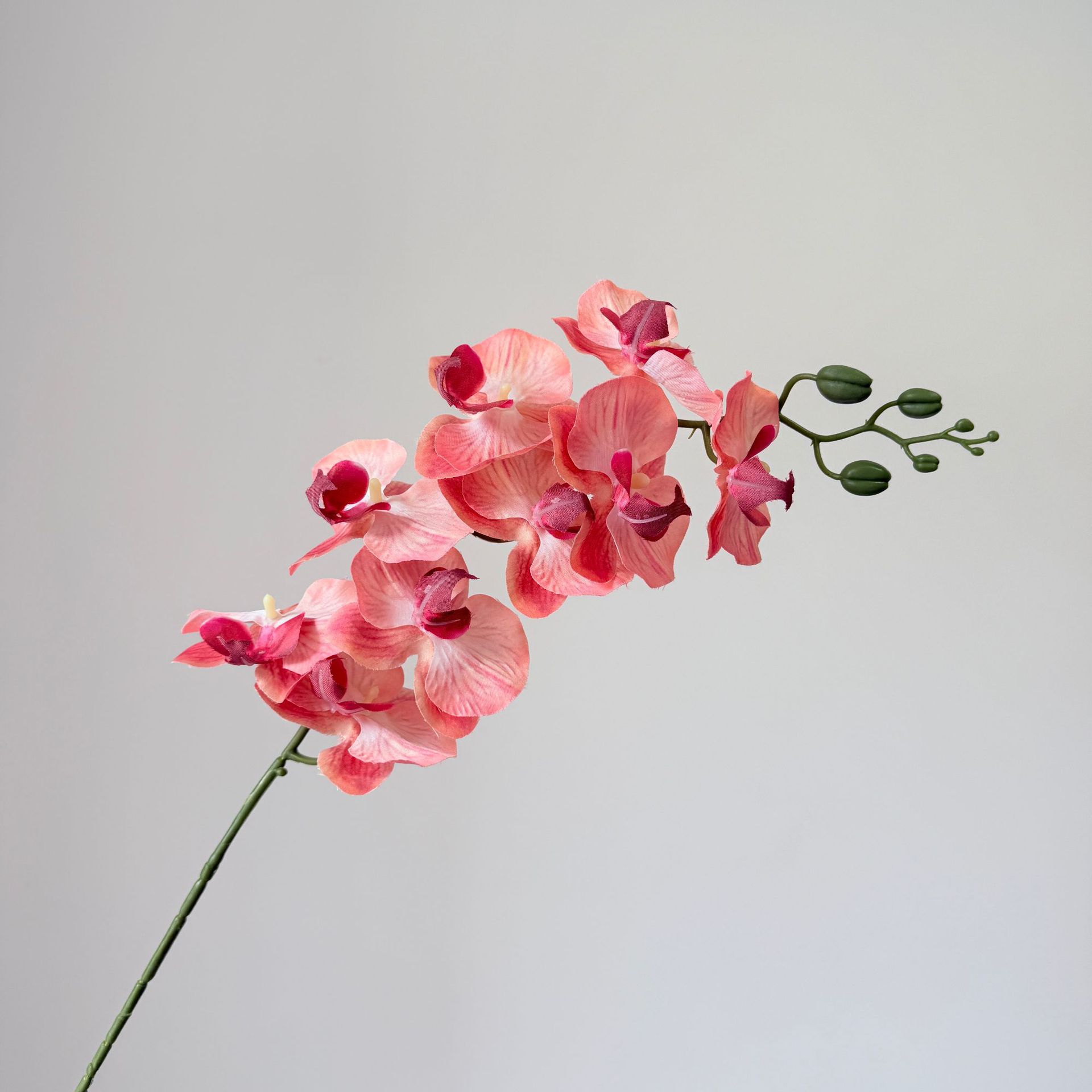 9头蝴蝶兰仿真花手感高级感逼真假花兰花艺场景布置酒店婚庆用花详情42