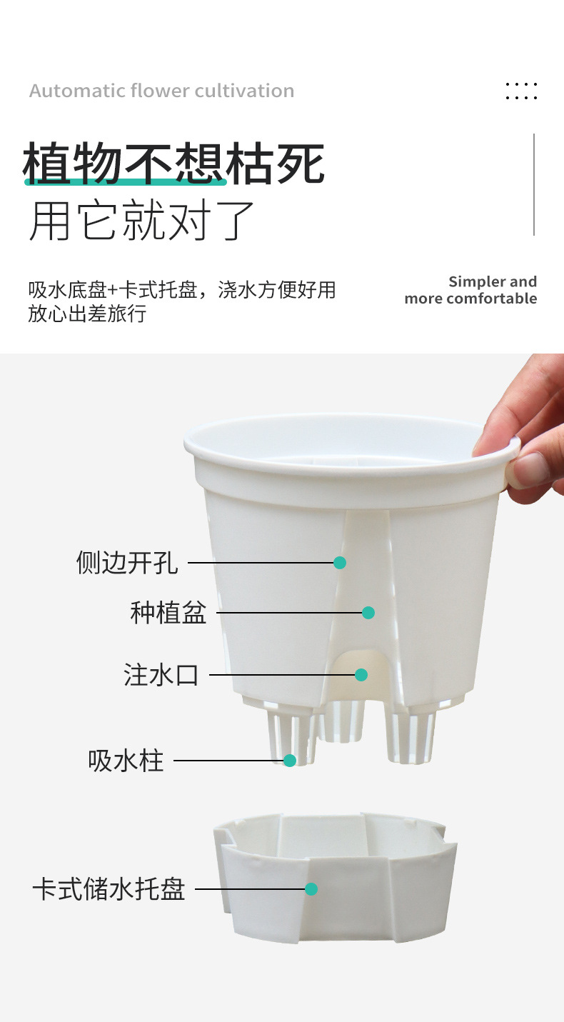 新款储水透明青山盆自吸水懒人盆控根盆朱顶红蝴蝶兰塑料花盆批发详情7