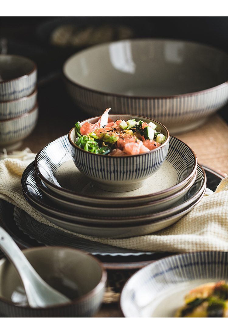 Bowl Home 2025 New High Appearance level retro Japanese tableware plate set, ceramic soup bowl, underglaze colored rice bowl pic 9