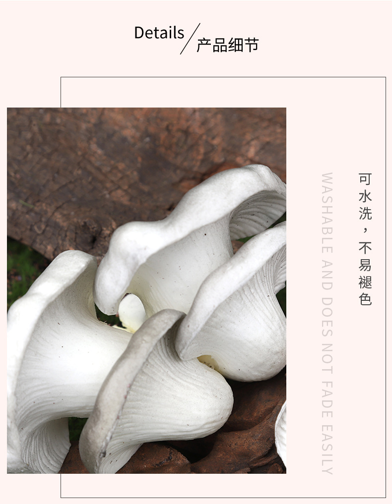仿真迷您植物香菇平菇菌类套装早教植物静态摆件认知模型套装现货详情5