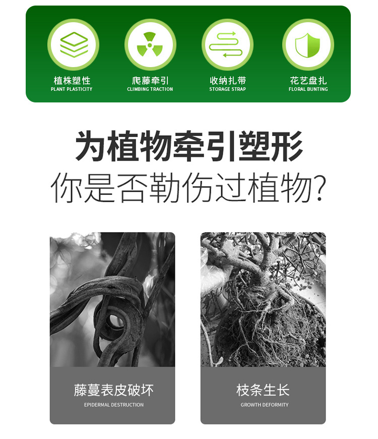 绿色绑线卷绵绳收口针三股绳意大利咖啡豆包装配件多用途耐用耐磨详情3