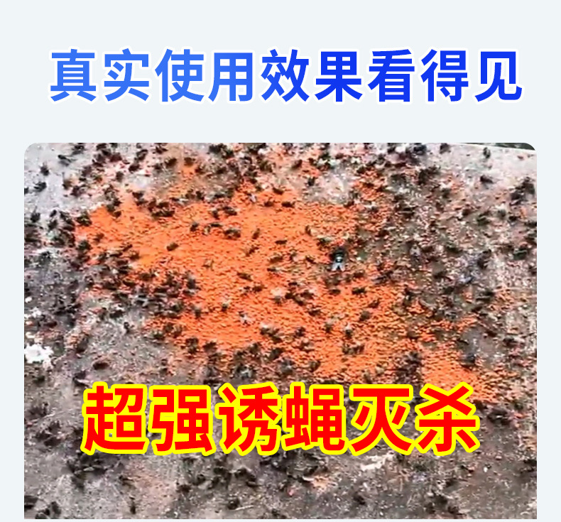 英文版跨境外贸苍蝇药200克养殖场专用长效灭苍蝇诱饵剂贴牌代工详情7