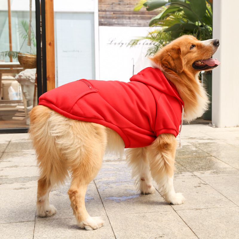 Otoño e invierno peluche de oro cremallera de bolsillo sudaderas grandes y medianas para perros perros ropa de gato fardo suministros para mascotas pic 17
