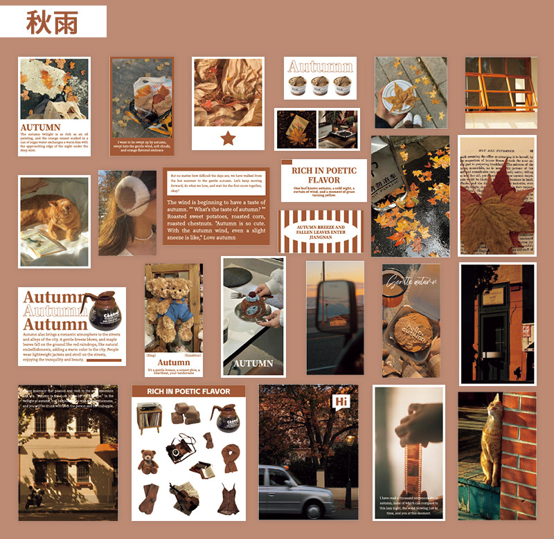 鑫奇新 50张四季予你贴纸包 春夏秋冬韩系浪漫装饰手账痛包素材包详情5