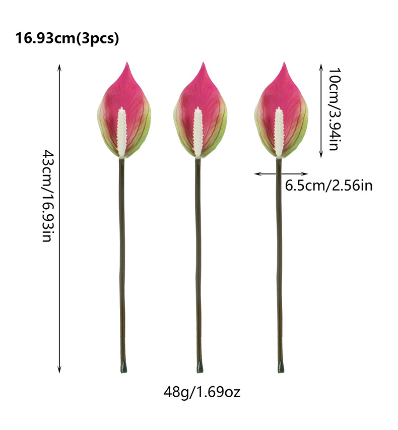 Floral decoration, potted plants, green plants, indoor ornaments, succulents, combination potted plants pic 2