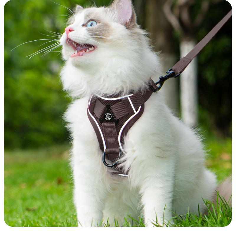 Cat leash vest pet chest and back strap cat walking rope chest and back anti-escape cat leash breathable anti-escape pic 19