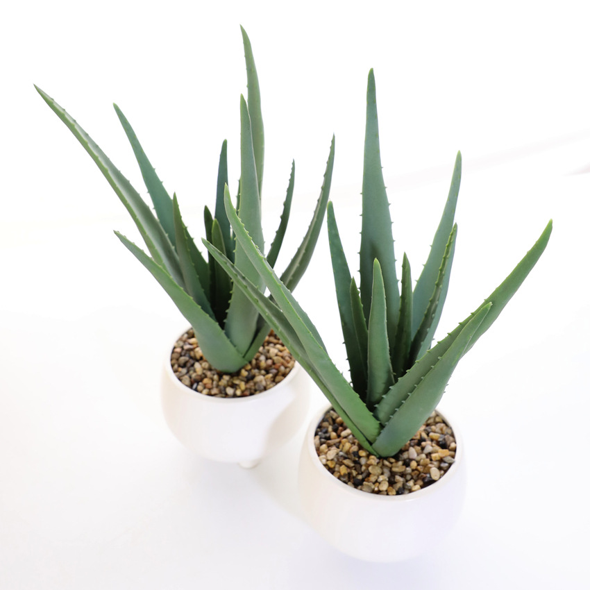 Simulated soft rubber aloe vera artificial flower set, white ceramic potted green plants, succulent plant decorative ornaments, cross-border pet gardening pic 1