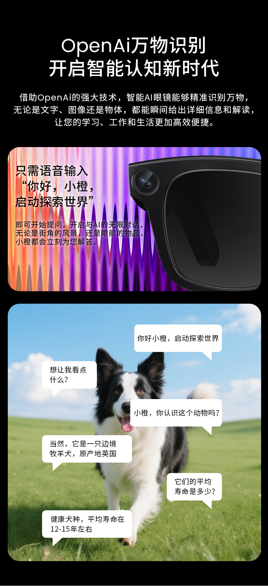 2025 New AI smart shooting glasses, high-definition anti-shake sunglasses, ai recognition, ai simultaneous interpretation, glasses for men pic 8