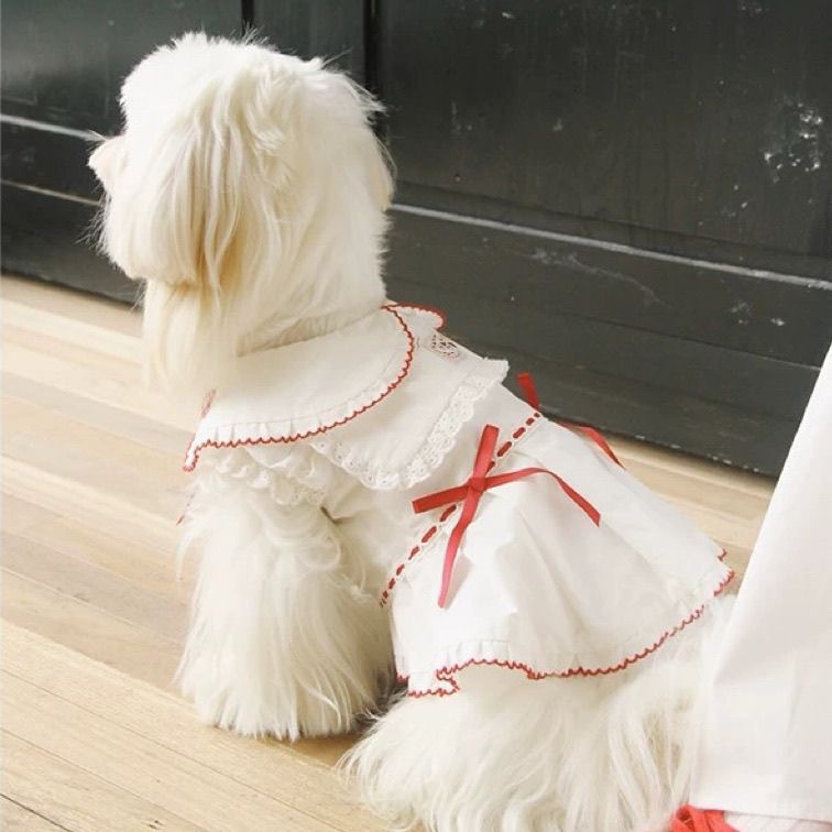 狗狗猫咪衣服复古格纹海军领衬衫小型犬马尔济斯博美比熊泰迪春秋详情4