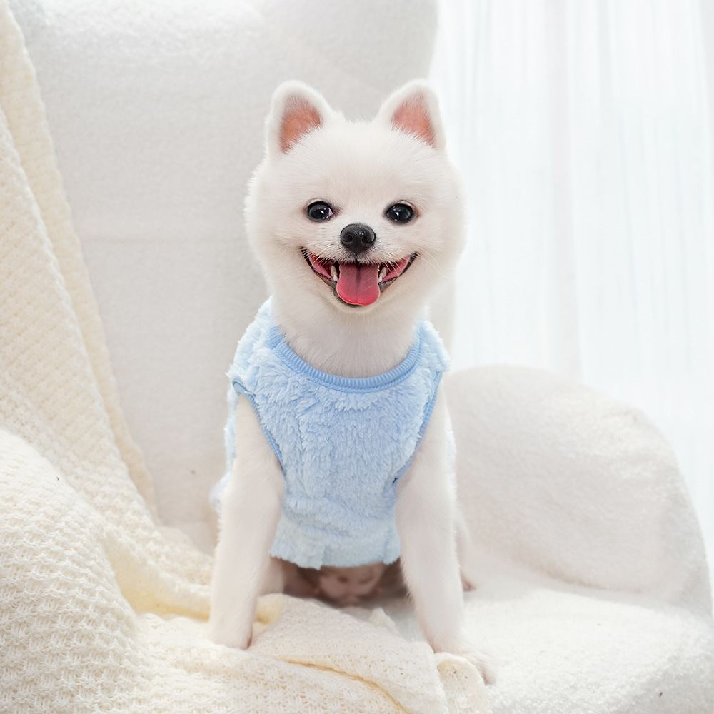 Ropa para perros invierno teddy by bears pomerania small dog mascotas otoño invierno plus peluche tracción peluche suministros para gatos pic 7