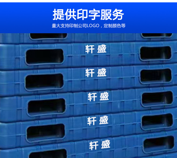 Plastic pallet forklifts, double-sided one-piece molded blow-molded pallets, moisture-proof boards for warehouses, pallets, pallets, and logistics pads pic 5