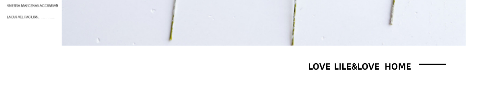 欧式银叶菊兔耳叶叶片配件情人节玫瑰假花餐桌家居绿植软装宠物园艺干花详情11