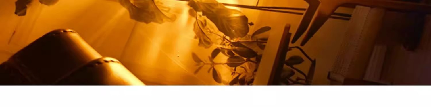 水波纹灯氛围灯卧室小夜灯光影浪漫旋转水纹灯床头灯投影极光礼物详情16