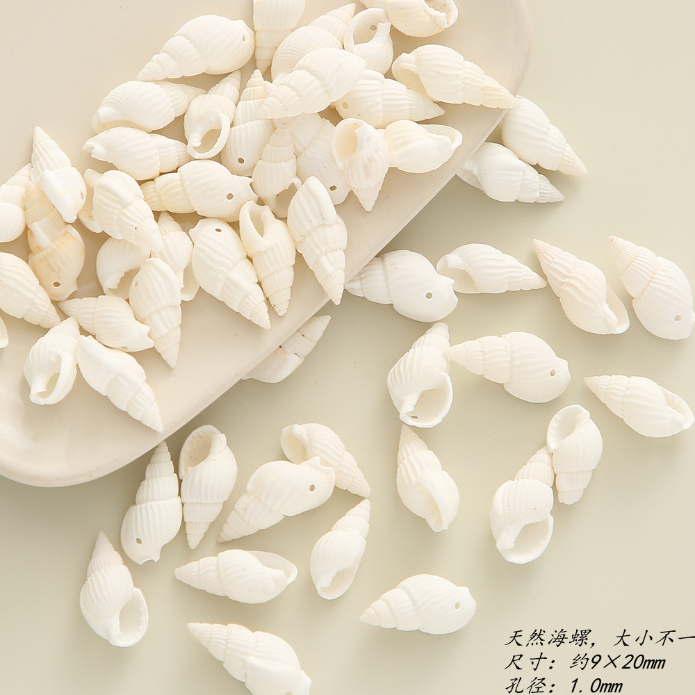 天然贝壳海螺 立体贝壳吊坠手工穿孔diy手工配饰手链项链饰品材料详情8