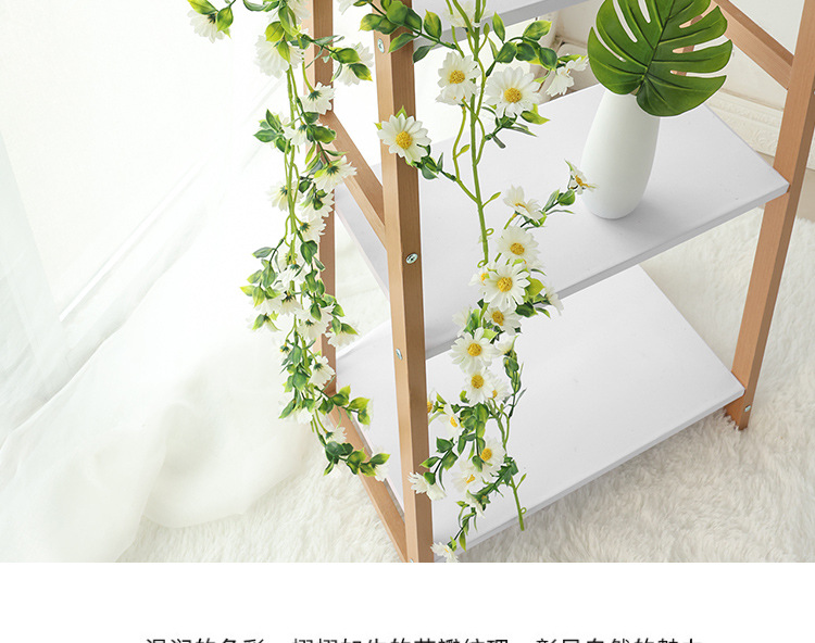 小雏菊---副本_21.jpg