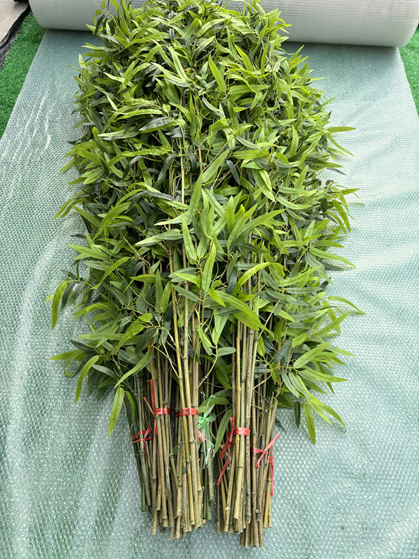 仿真竹子室内装饰隔断屏风假竹子挡墙造景绿植盆栽细水竹办公文化园艺仿真枝叶树详情40