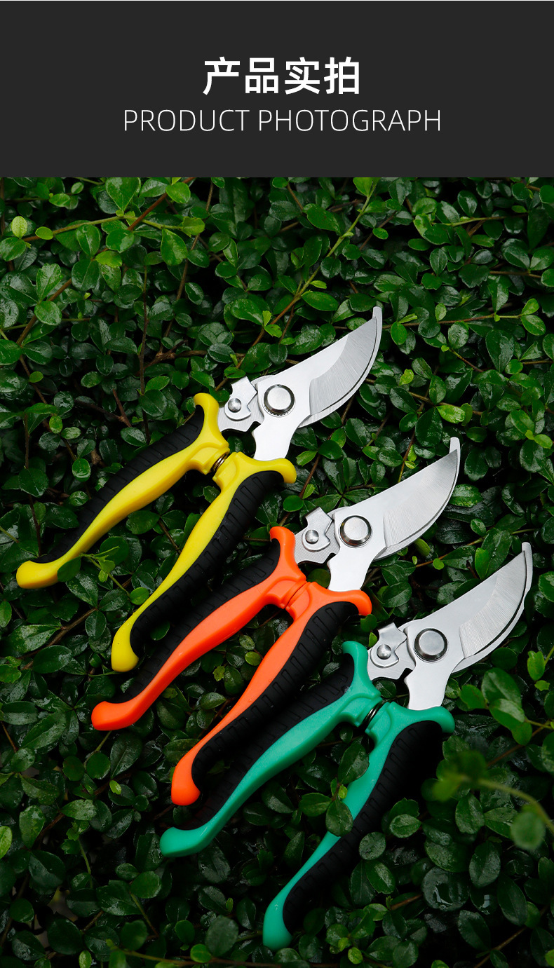 强力修枝剪果树粗枝剪刀家用省力园艺剪枝的剪园林树枝剪剪枝的剪详情10