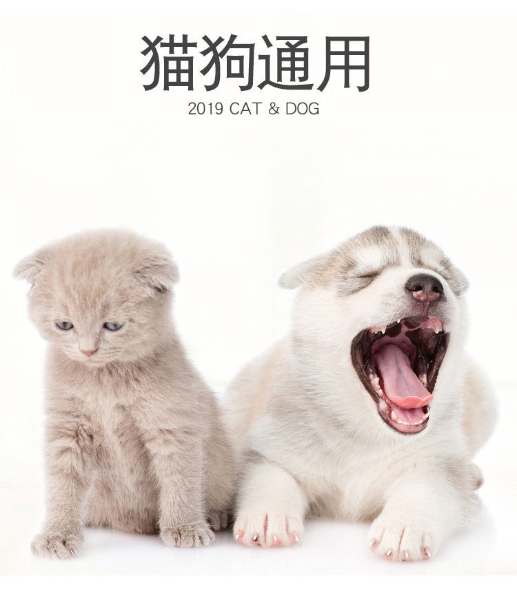 宠物用品不锈钢狗碗猫碗橡胶底防滑防打翻狗粮碗猫水碗食具宠物碗详情19