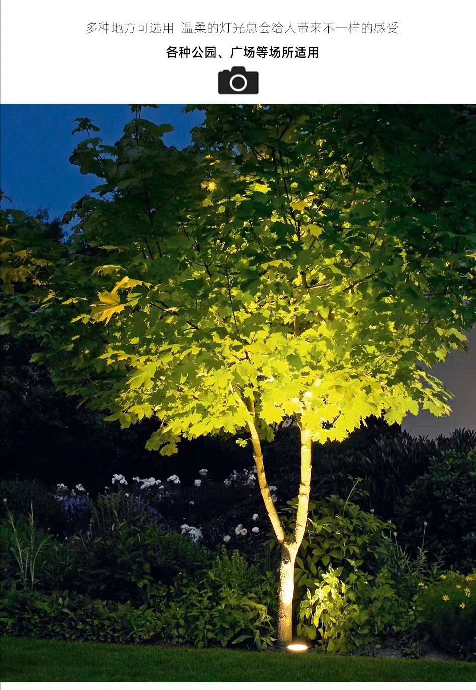 照树灯景观射灯户外七彩灯led投光灯花园射树灯插地灯绿化灯室外详情3