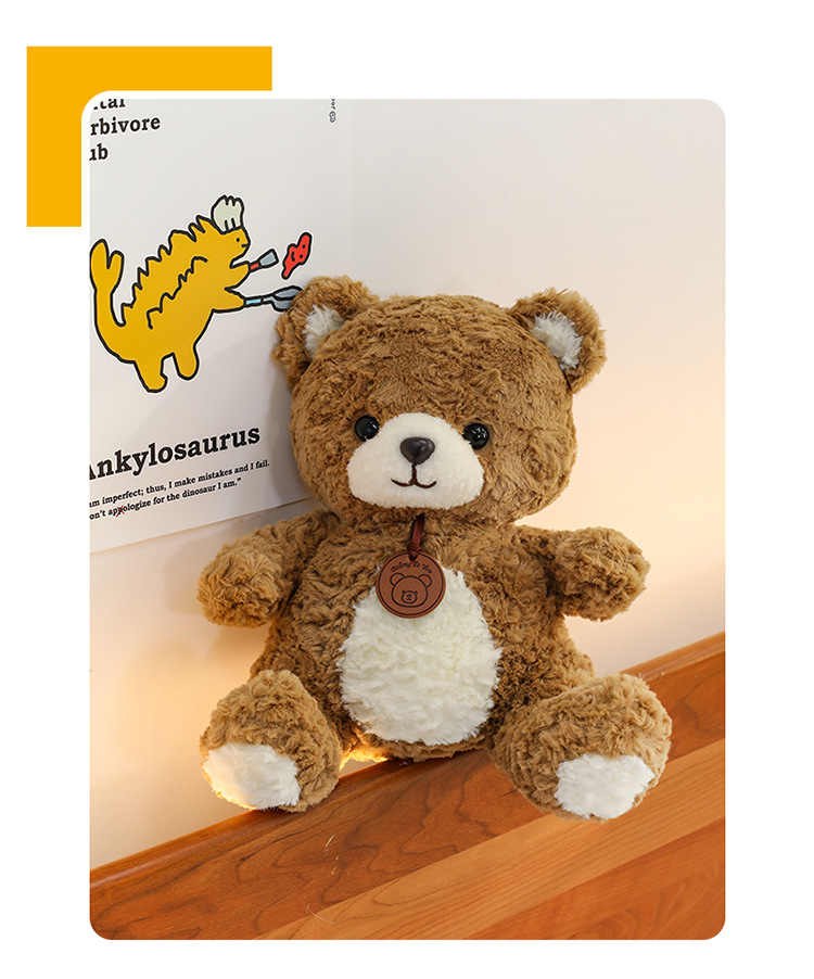 吊牌小熊公仔可爱毛绒玩具小熊公仔玩偶儿童生日礼物跨境批发详情14