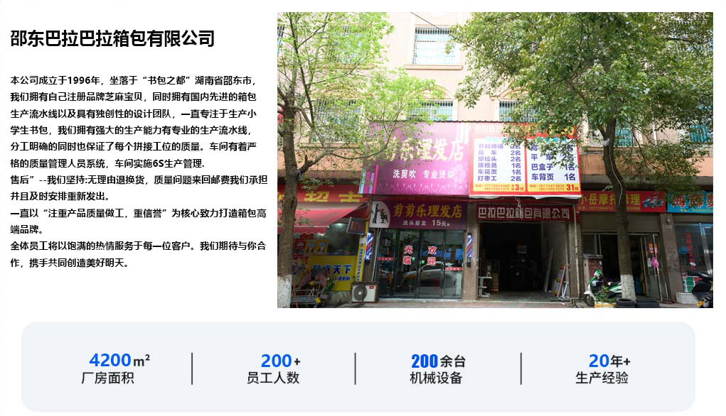 芝麻宝贝时尚双肩背包女学生小众初中女生高颜值大容量双肩包详情2