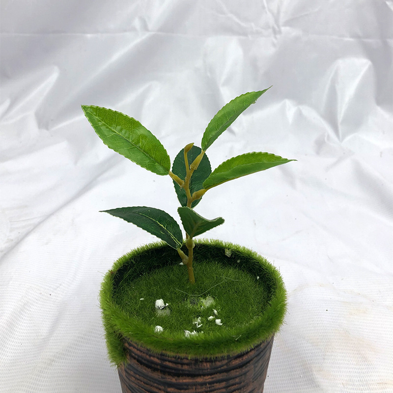 仿真茶叶绿植安吉白茶毛尖茶红绿茶单片称重工程DIY装饰摆设批发详情4