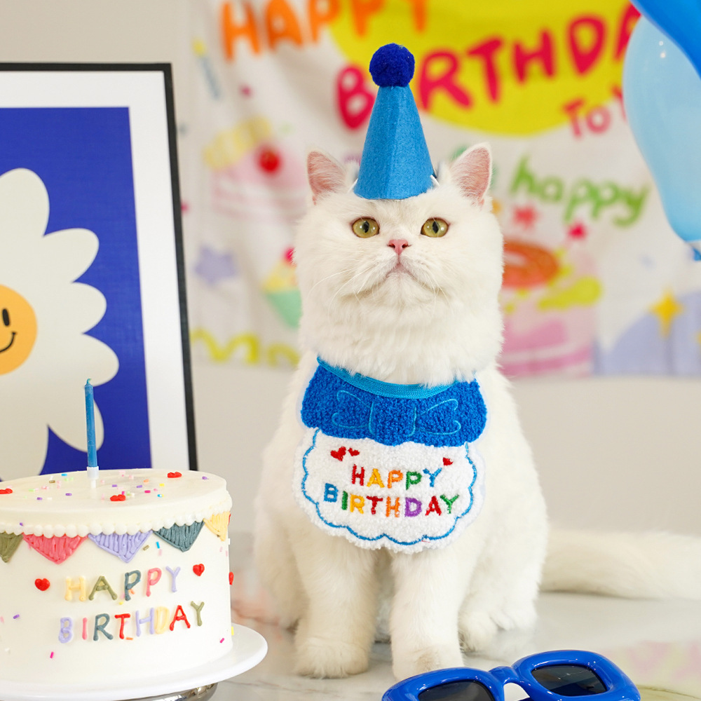 跨境宠物狗狗猫咪生日装扮围兜派对用品口水巾毛毡帽子厂家直销详情11