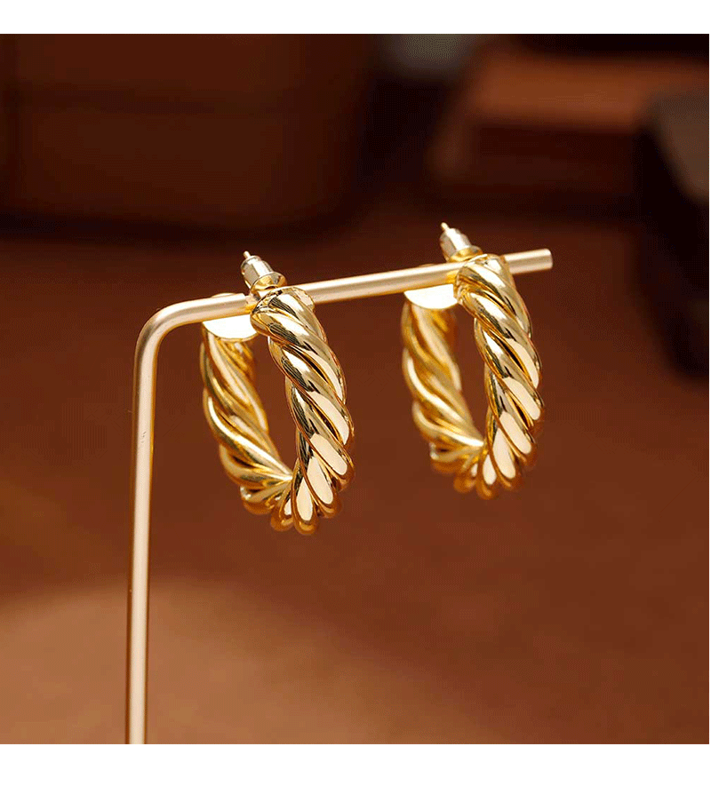 Hyacinth moda europea y americana personalidad temperamento moda orejeras minimalistas pendientes de aro de metal industria pesada alto grado sentido orejeras de oro pic 6