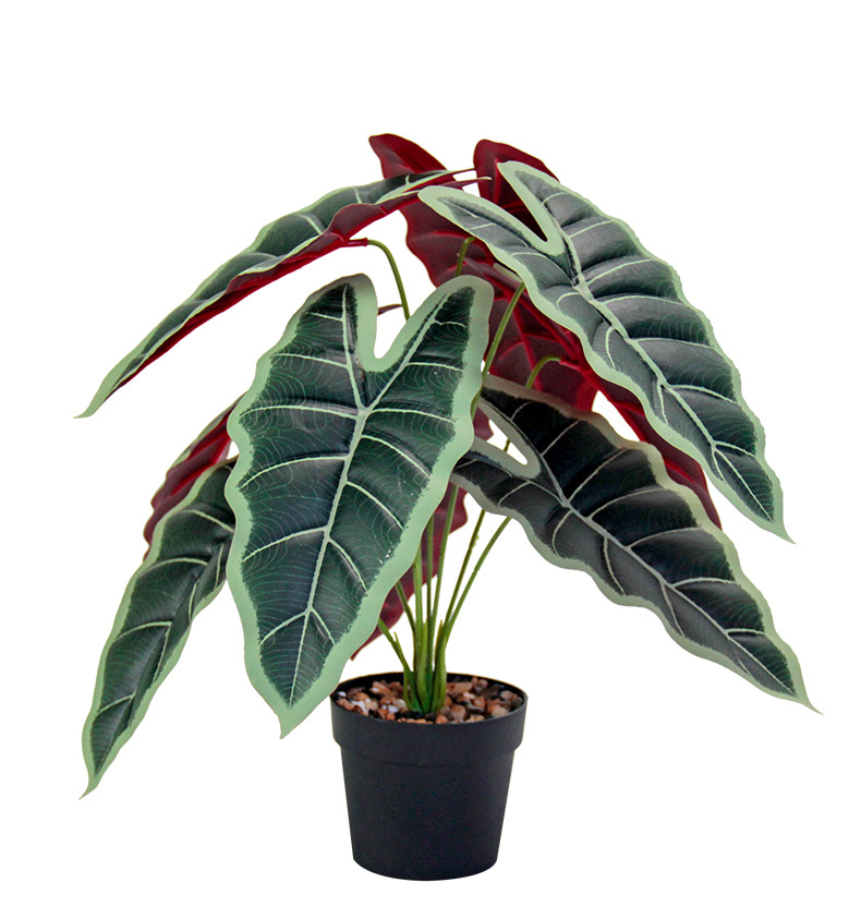 Artificial green plants, such as the lucky taro, are used for restaurant partition decoration, outdoor garden, grassland landscaping, and PVC plastic figures pic 9