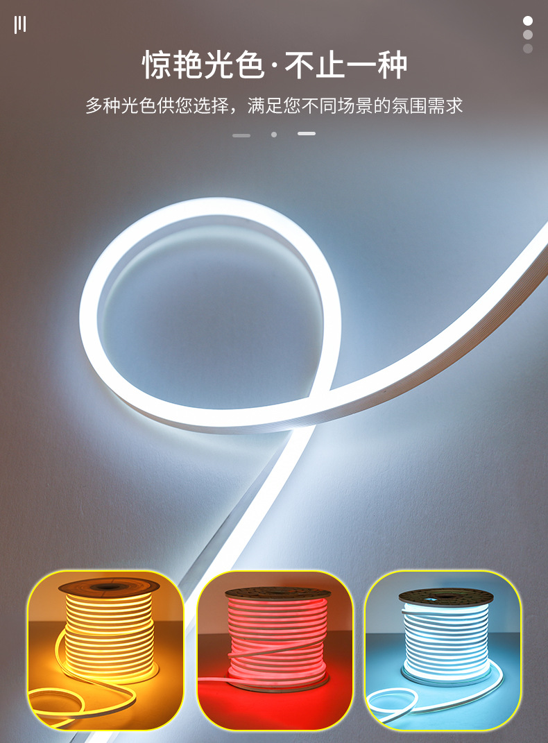 LED 3V.5V 12V 6*12软灯条户外防水超亮做字造型 柔性霓虹灯详情4