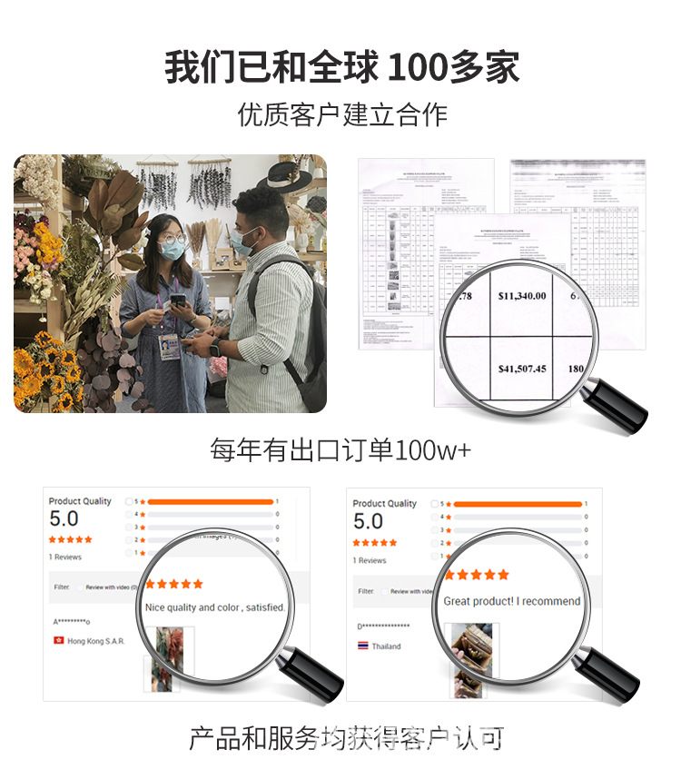 新品【挥发棒专用柳树枝系列】香薰藤条自然干花扩香树枝详情1