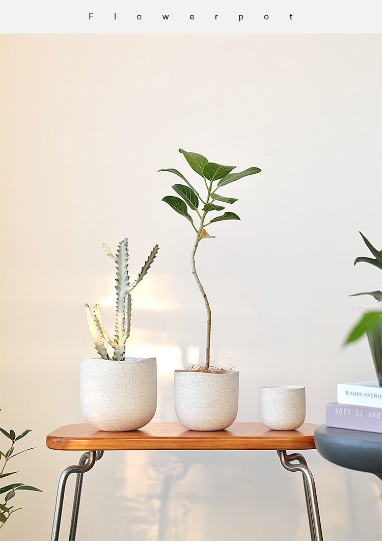 北欧陶瓷粗砂花盆象牙白蝴蝶兰陶盆兰花白陶创意个性绿植粗陶套盆详情7