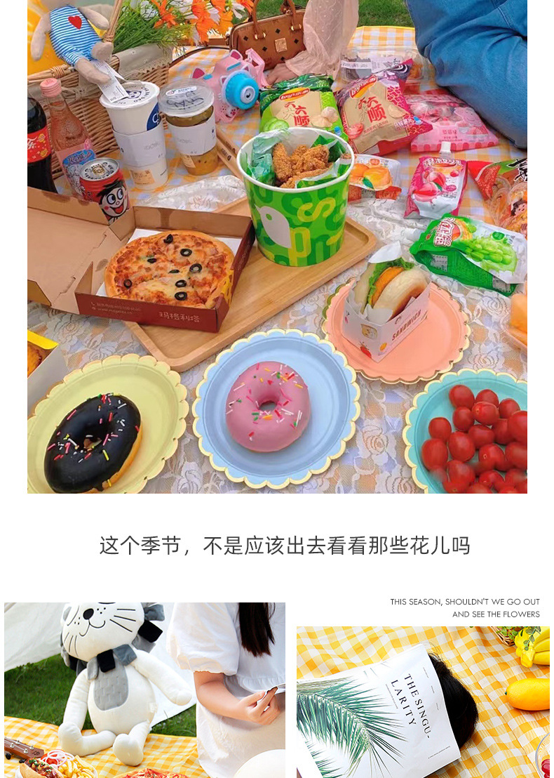 ins风野餐垫春游防潮垫加厚野外野炊户外地垫便携防水郊游野餐布详情7