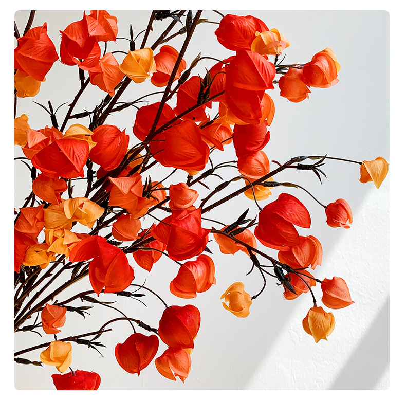 灯笼果仿真花假花摆设栾树果干花年宵花家居装饰花艺摆件直播代发详情20