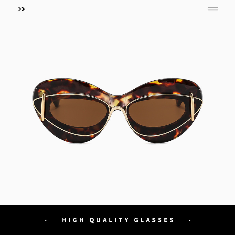 Cat-eye double-frame sunglasses for women, European and American fashion trends, hip-hop sunglasses, Instagram influencers, and exaggerated personality sunglasses pic 4