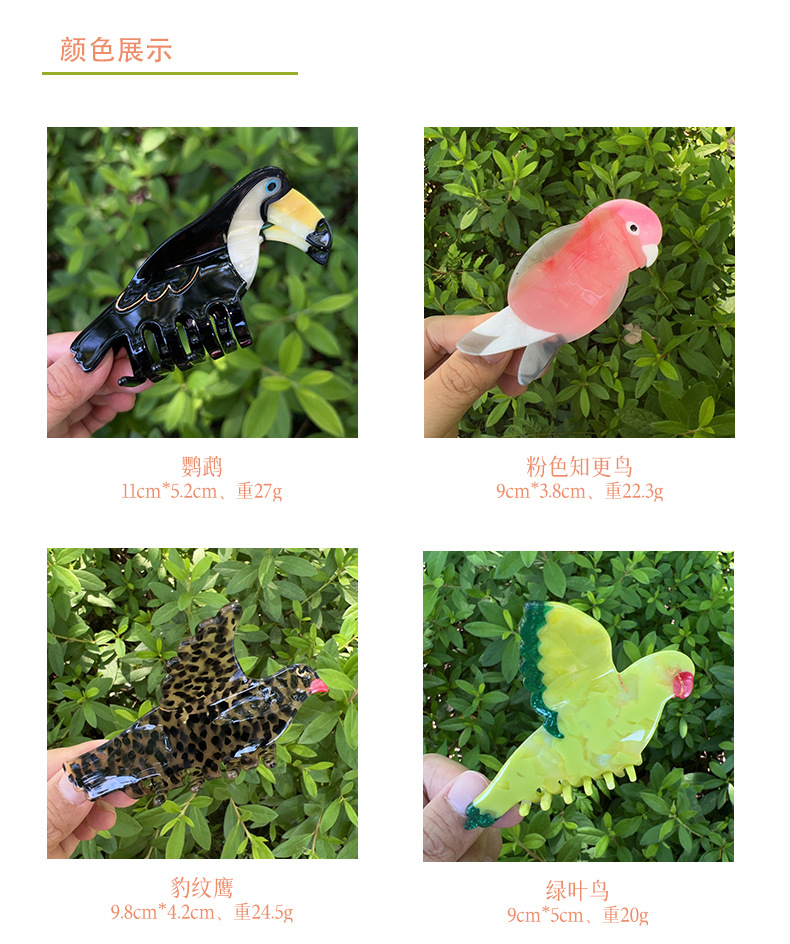 柏菲雅高级感鹦鹉拼接醋酸抓夹春夏小清新鲨鱼夹卡通动物发饰头饰详情4