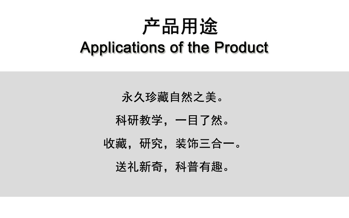 Zhenfang Craft Factory offers self-operated real insect specimens, biological science popularization teaching, ciphertext waybills, and cross-border one-piece consignment pic 8