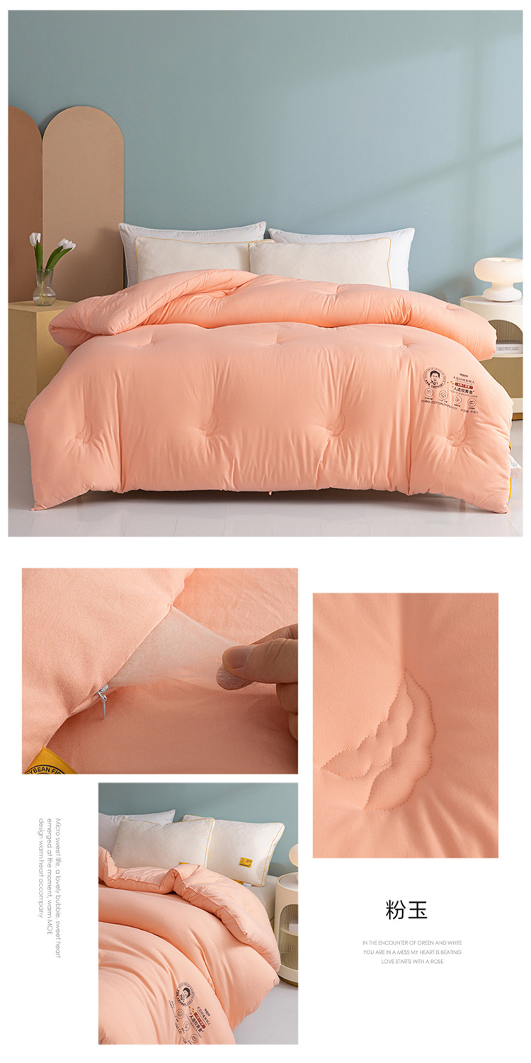 A类李官奇大豆纤维被子大豆被芯加厚冬被保暖冬季被芯春秋被批发详情28