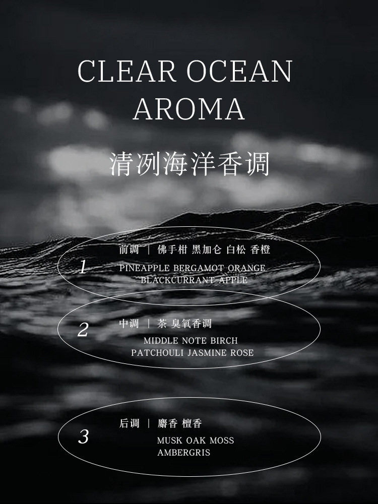 JEAN MISS香水包装盒50ml香水瓶口红管乳液瓶泵头洗发水瓶子中东风详情8