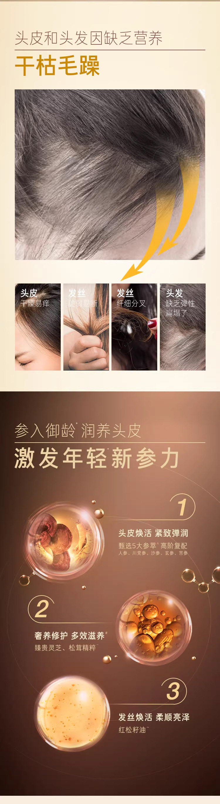 韩国进口RYO吕臻参焕活御时㫒机洗发水400ml一般贸易中干性生姜详情4