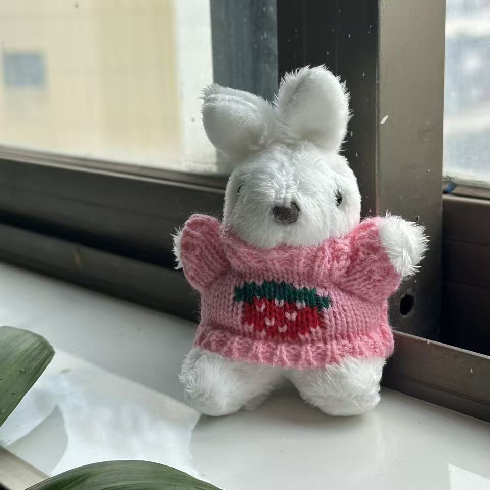 Creative dolls wearing sweaters, little rabbits, plush dolls, pendants, cute rabbit dolls, keychains, toy bags, pendants pic 5