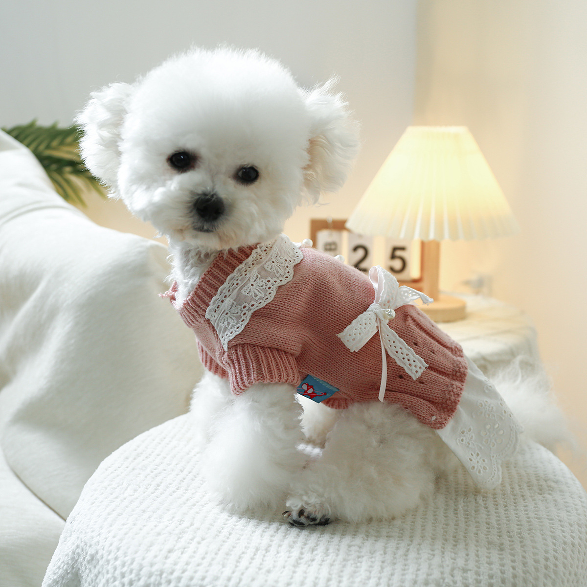 T Elegant princess cat and dog clothes, pet dog and cat warm and comfortable home clothes for autumn and winter, dog clothes, pet skirts pic 5
