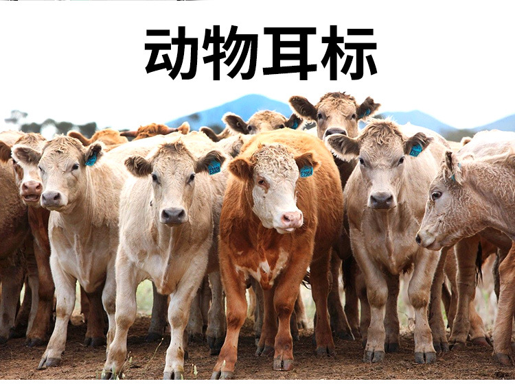 一体耳标牛用兽用单片连体大号记号牌羊猪用防疫耳标牌钳带字详情1
