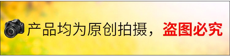 质量版独立装纯色吊带背心女夏带胸垫上衣无钢圈无缝裹胸细带抹胸详情1