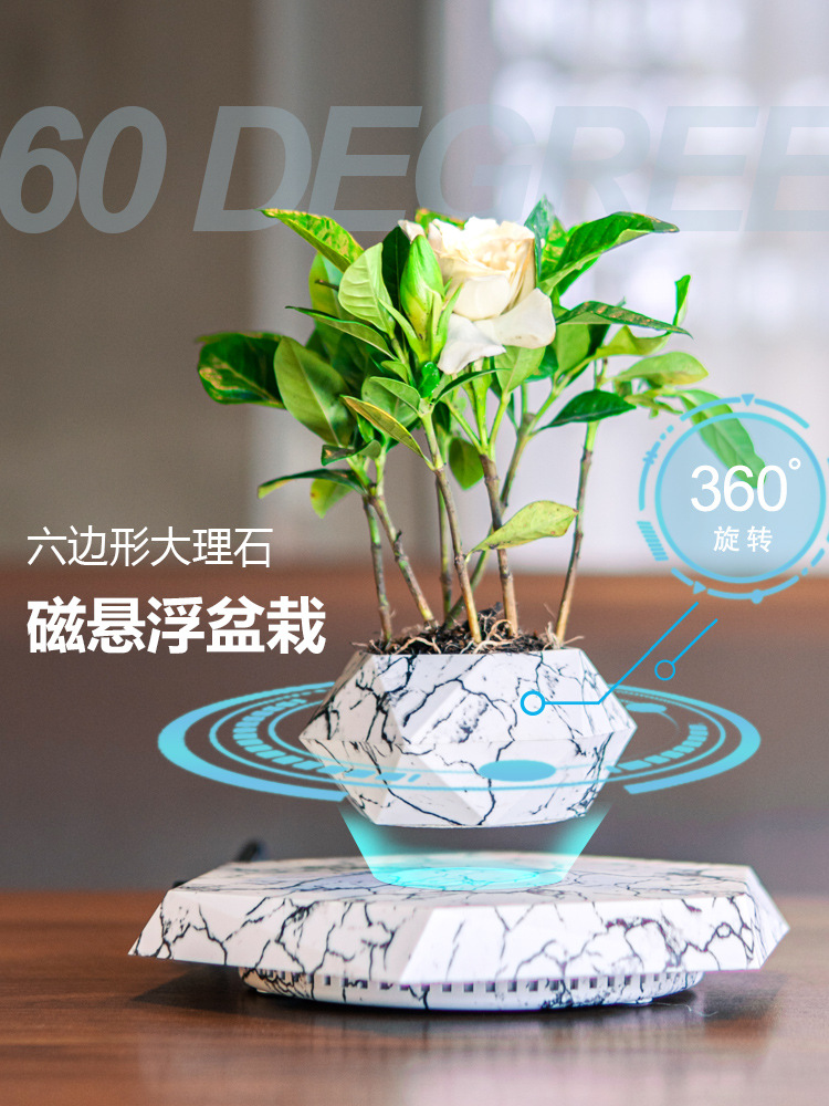 磁悬浮盆栽创意盆景工艺品礼品礼物新奇特家居摆件批发源头工厂详情2