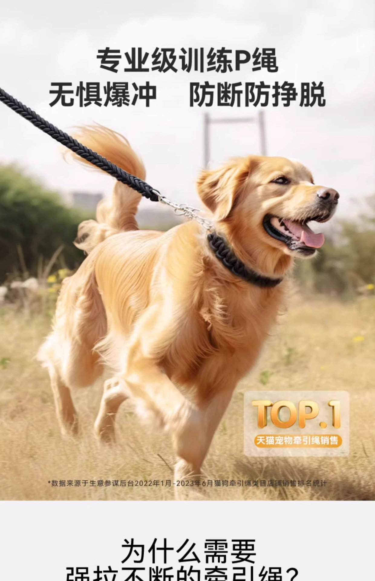 狗狗牵引绳中型大型犬金毛狗绳子拉布拉多狗链子狗脖圈狗项圈p链详情16
